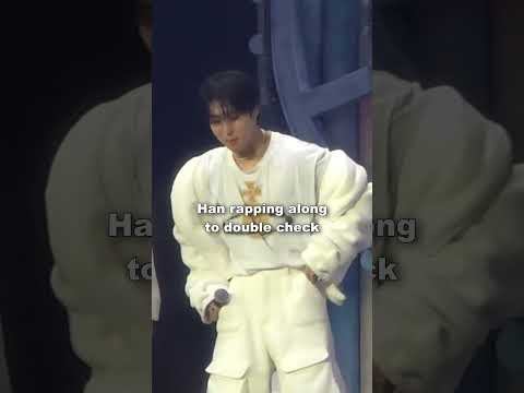 Kpop Vocalists are actually RAPPERS? (Stray Kids)