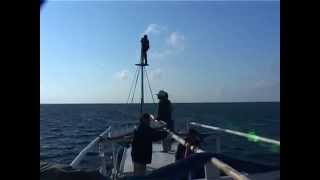 Trailer of Suster Apung (The Floating Nurse)