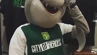 Download lagu Story WA zoro maskot persebaya mp3 Download lagu Story WA zoro maskot persebaya mp3
