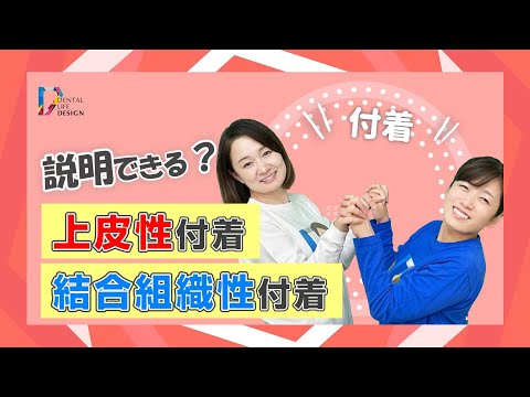 イヤークリップの魅力とは何でしょうか？彼らは危険ですか？  庭園