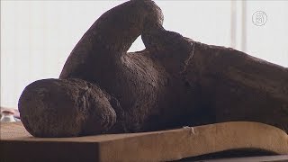 Останки жителей Помпеев исследуют с помощью томографа (новости)
