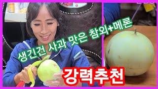 강력추천 생긴건 사과 맛은 메론+참외~ 이거심으세요~사과참외,메론참외,애플참외  먹방
