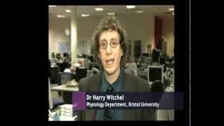 Jeremy Paxman Newsnight interview of Harry Witchel