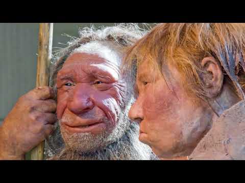 European Hybridization and Human Racial Origins - ROBERT SEPEHR