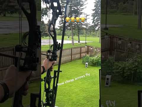 Don’t buy cheap arrows for this reason #shorts
