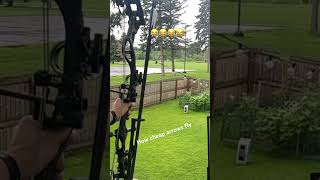 Don’t buy cheap arrows for this reason #shorts