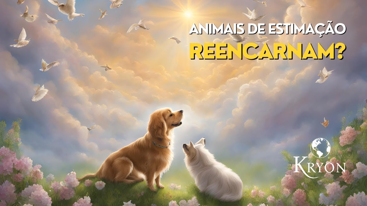 Seus ANIMAIS DE ESTIMAÇÃO REENCARNAM? | Mensagem de KRYON