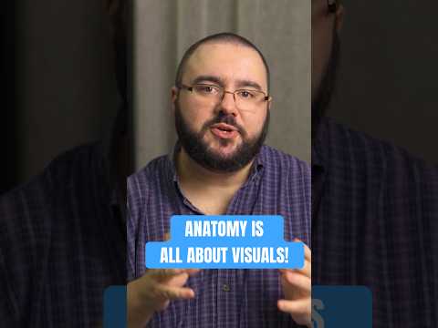 Anatomie & Behandlungswissen Videos – Interaktives Nachschlagewerk für Physio, Massage, Therapie 39 Ever wonder why anatomy textbooks are packed with images?