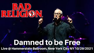 Bad Religion - Damned to be Free  LIVE @ Hammerstein Ballroom New York City NY 10/29/2021