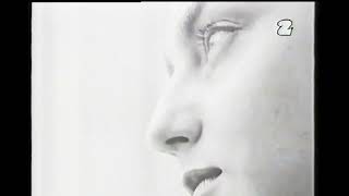 Świetliki - Olifant