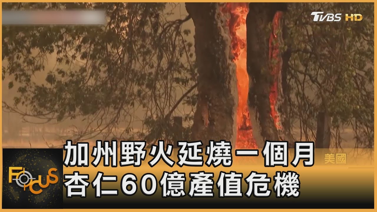 加州野火延燒一個月 杏仁60億產值危機