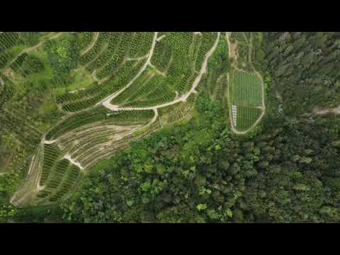 Terres and Tuenno italia mavic