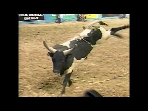 Skat Kat bucks Rodney Lidgard - 97 PBR Finals