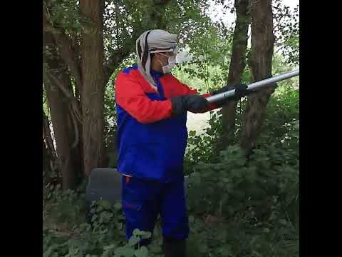 منظمة الأغذية والزراعة والبنك الدولي يعملان معًا لمساعدة اليمن في السيطرة على الجراد