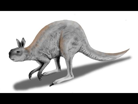 Cenozoic profile procoptodon