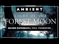 🎼 Silver Pathways⭐ Phil Thornton ✨ Ambient Music