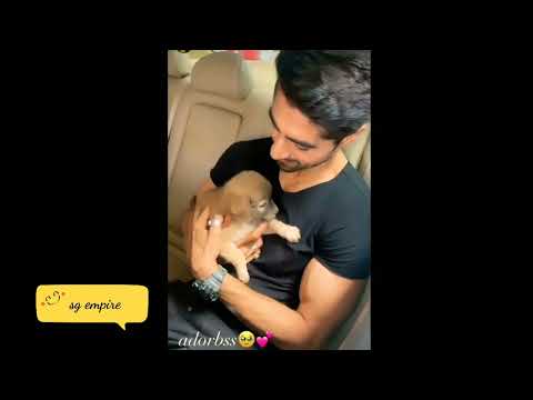 Pranali shares Harshad's adorable video with cute pet dog🐕#yrkkh Harshad's bond with dogs😍#harshali
