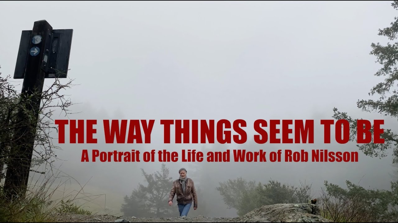 TRAILER | THE WAY THINGS SEEM TO BE | DIRECTOR ZHAN PETROV | ROB NILSSON ART FORMS