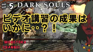 【DARK SOULS】酔いどれ呪術師が行くPART５【モノアイ攻略】