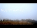 Emily Haines & the Soft Skeleton - Mostly Waving ...