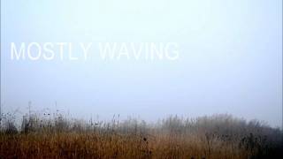 Emily Haines &amp; the Soft Skeleton - Mostly Waving