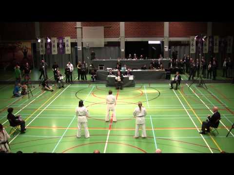 IFK World Tournament Kyokushin kata groups Russia 2014