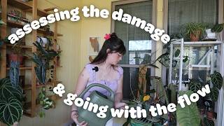 VLOG | hail damage, watering plants, and my new sewing project!!