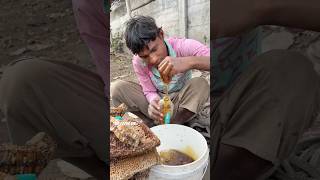 How to Find 100% Pure Honey #streetfood #honey