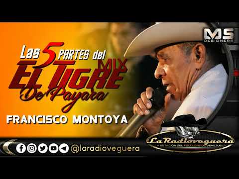 MIX NUEVO LAS 5 PARTES DEL TIGRE DE PAYARA |FRANCISCO MONTOYA