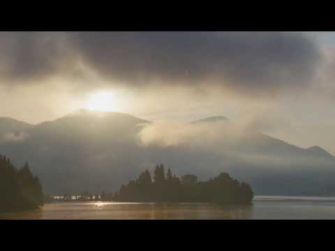 This is Colibita- a Wild Life Documentary