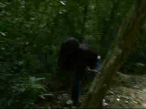 Stess e Amanda em: O Monstro do Pântano