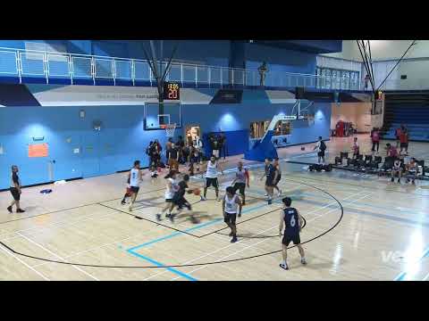 Capsule(1) vs alpha chad(8) - sunday tier 6 playoffs - tcbl 2022 summer