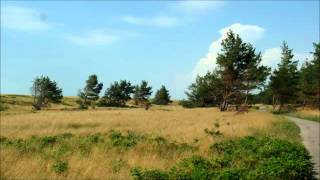 Viaggio in Estonia, Lettonia e Lituania