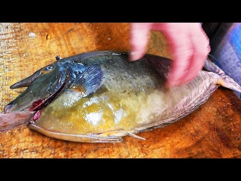 Japanese Street Food - UNICORN FISH Sashimi Seafood Okinawa Japan