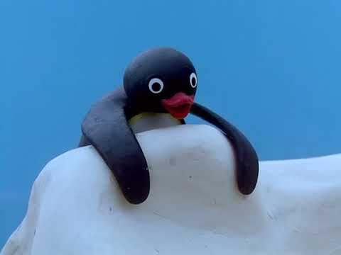 pingu s03e08 pingu and the mother bird dvdrip xvid