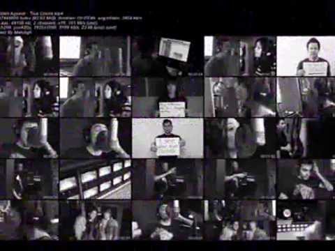 Artists against-True colors (testo)