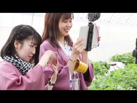 加賀市IoT×動画マーケティングハッカソン2019