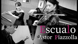 Download lagu Escualo /A.ピアソラ【ピアノ三重奏】 mp3 Download lagu Escualo /A.ピアソラ【ピアノ三重奏】 mp3