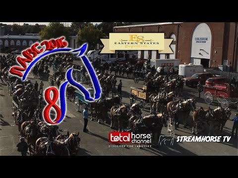 '16 NABC8 - Oct 15 Heavyweight Draft Pull