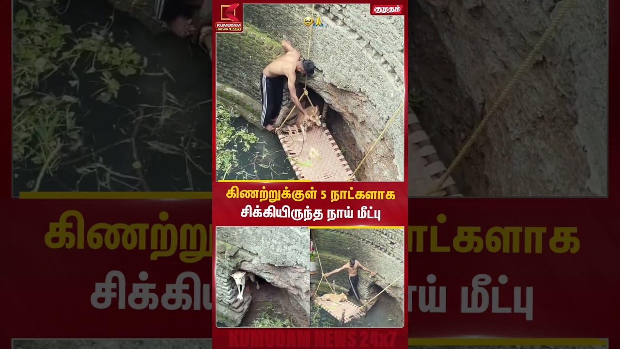 கிணற்றுக்குள் 5 நாட்களாகசிக்கியிருந்த நாய் மீட்பு | Dog Rescue | Kumudam News