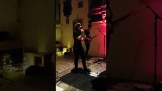 Greywind - Forest Ablaze and Afterthoughts