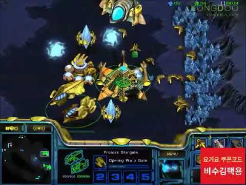 Bisu vs hero 141127 김택용 StarCraft Brood War FPVOD Neo Medusa