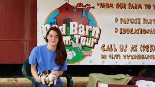 Parklane Student, Kate, Talks About Snow Creek Jack Russell Puppies