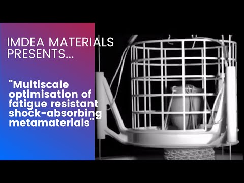 Multiscale optimisation of fatigue resistant shock-absorbing metamaterials