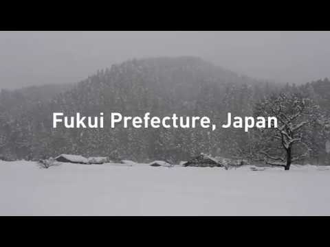 Ichijodani Asakura Clan Ruins