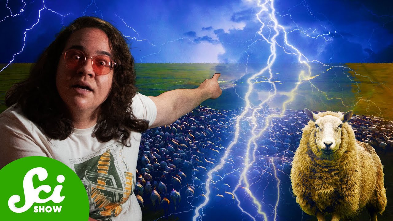 The Single Bolt of Lightning that Killed 835 Sheep