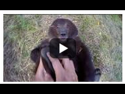 GoPro: Man and Grizzly Bear - Adventures with Bella