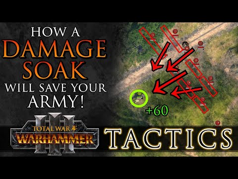 How a DAMAGE SOAK will save your army! - Total War Tactics: Warhammer 3