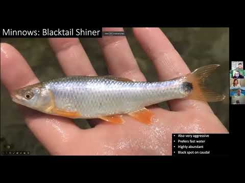 Angler Education | Introduction to Microfishing