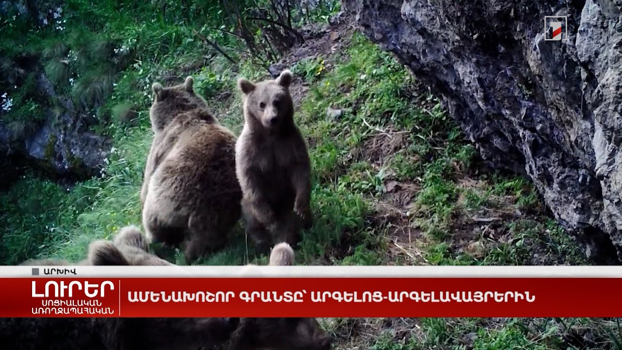 Ամենախոշոր գրանտը՝ արգելոց-արգելավայրերին